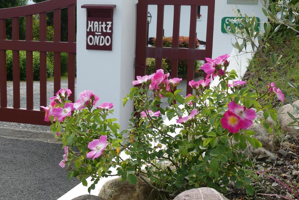 Chambres D'Hotes Haitz Ondo Hasparren Eksteriør billede